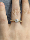 Amelia Engagement Ring